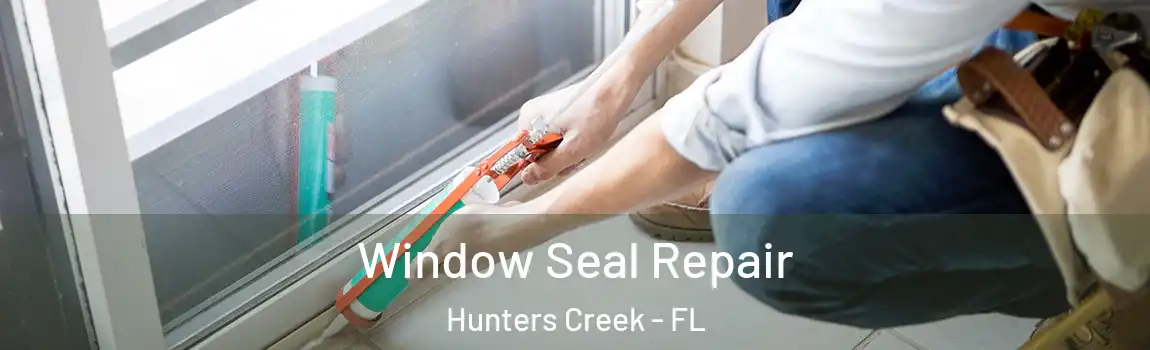 Window Seal Repair Hunters Creek - FL